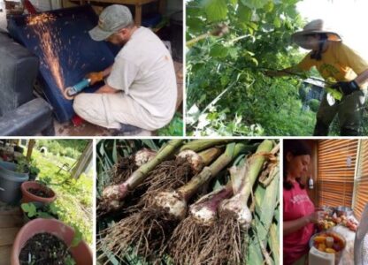 January on the Homestead Image